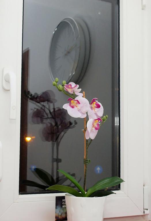 Fancy 1Bd Family Friendly In Historical Centre Leilighet Bucureşti Eksteriør bilde
